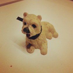 Petit chien