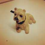 Petit chien