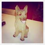 Chien cass